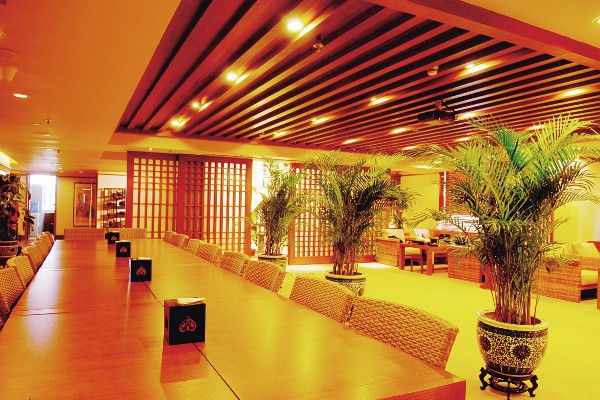 猫晚成都养生攻略:体验成都夜生活的健康之道(成都夜猫夜市) 猫晚成都养生攻略:体验成都夜生活的健康之道(成都夜猫夜市)